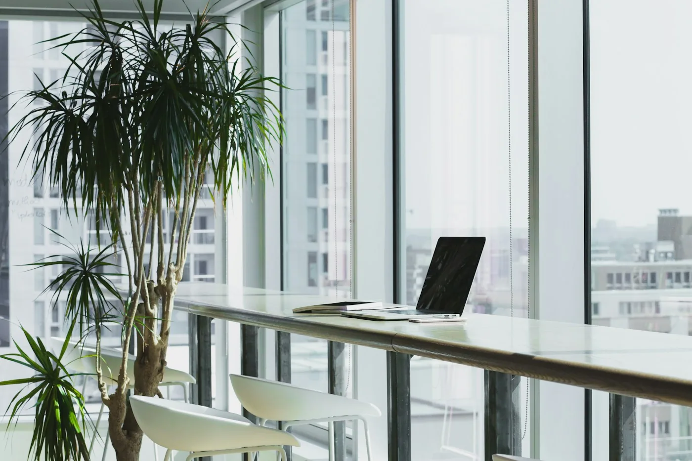 Desk with laptop beside tall office windows and plants