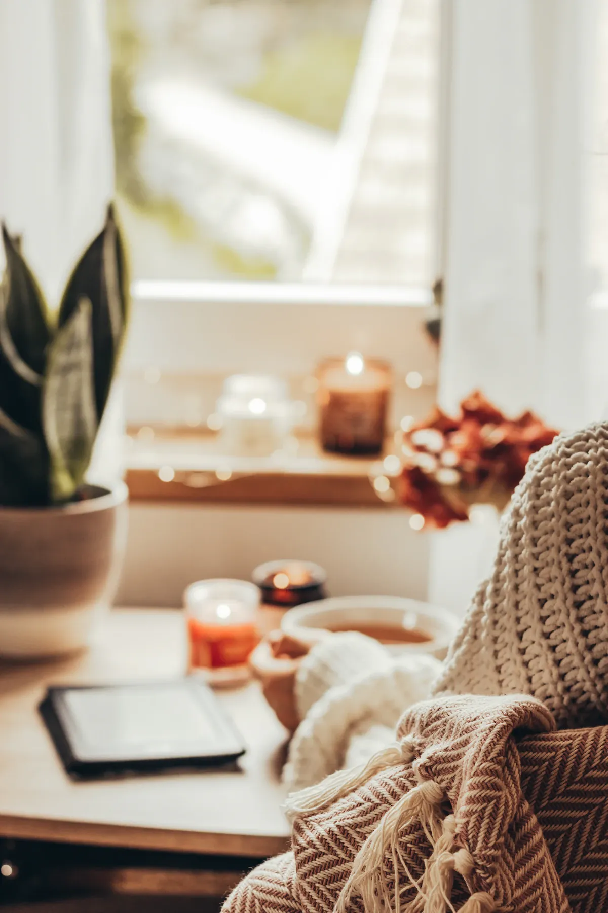 A person in a knit sweater holding a mug near candles and a plant